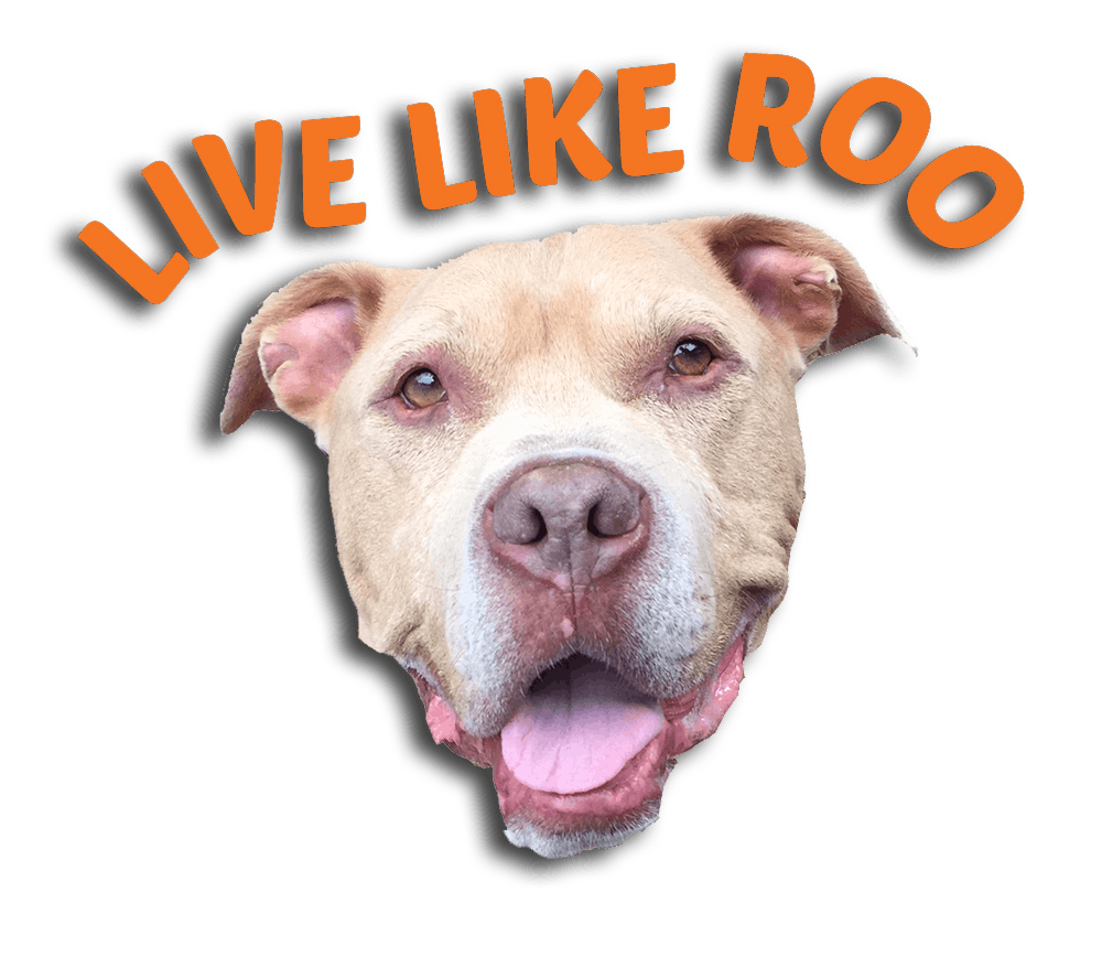 Live Like Roo Foundation