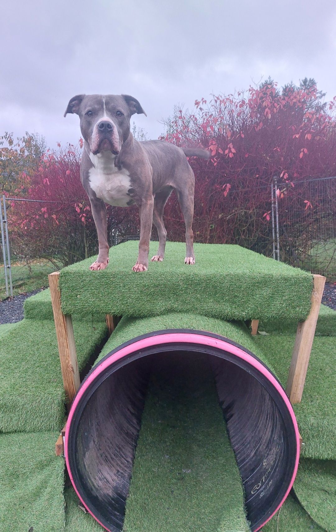 Beneath The Wood Sanctuary