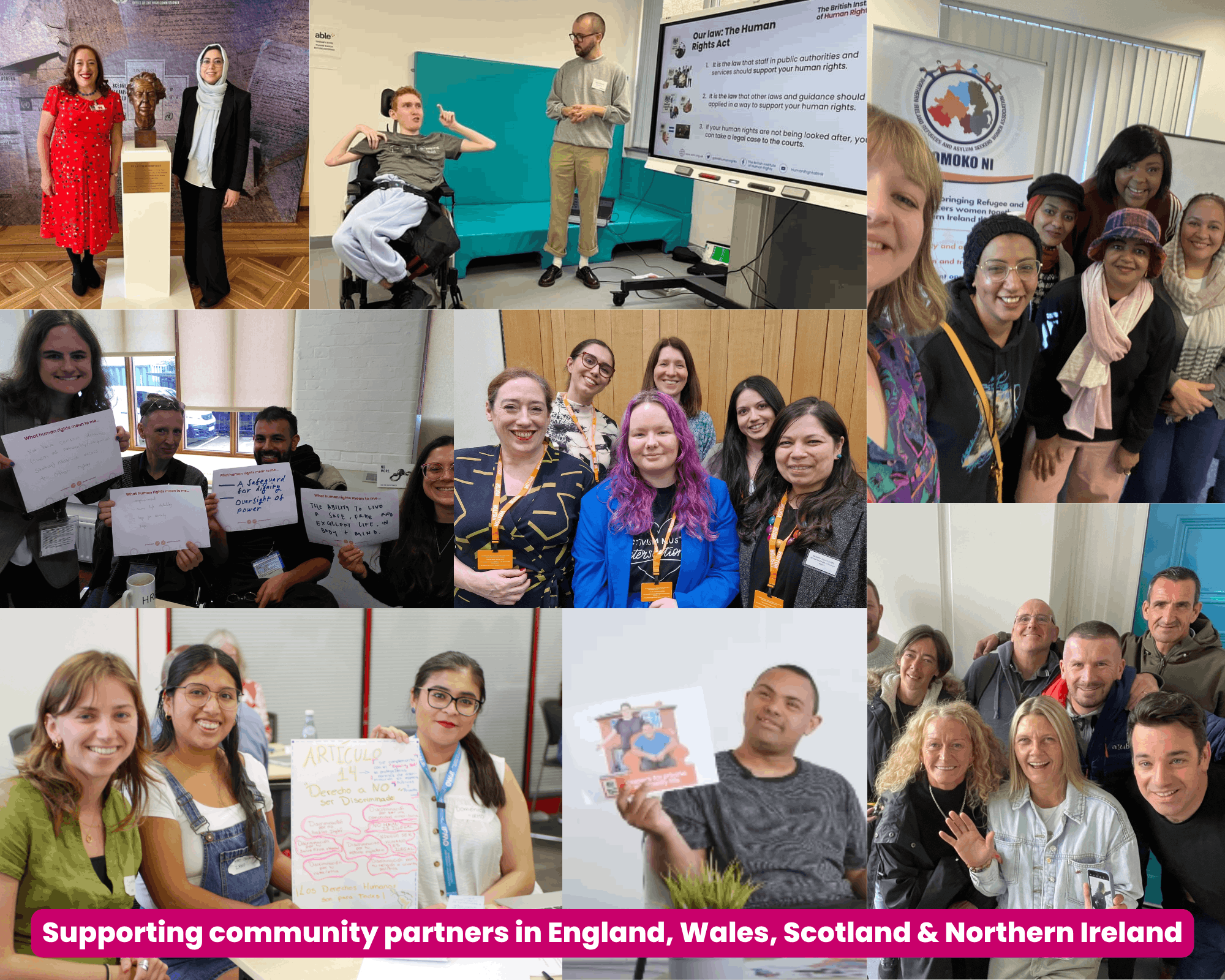 The British Institute of Human Rights