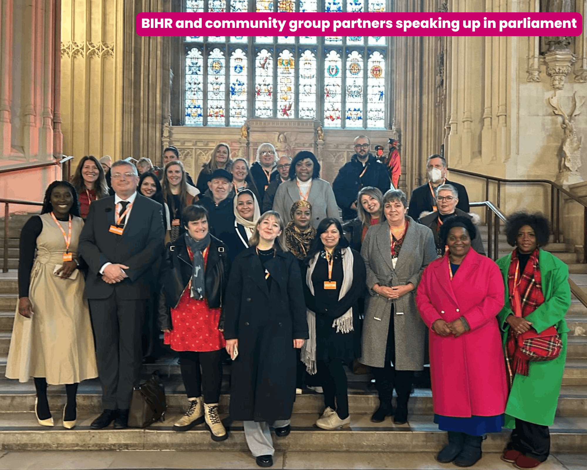 The British Institute of Human Rights