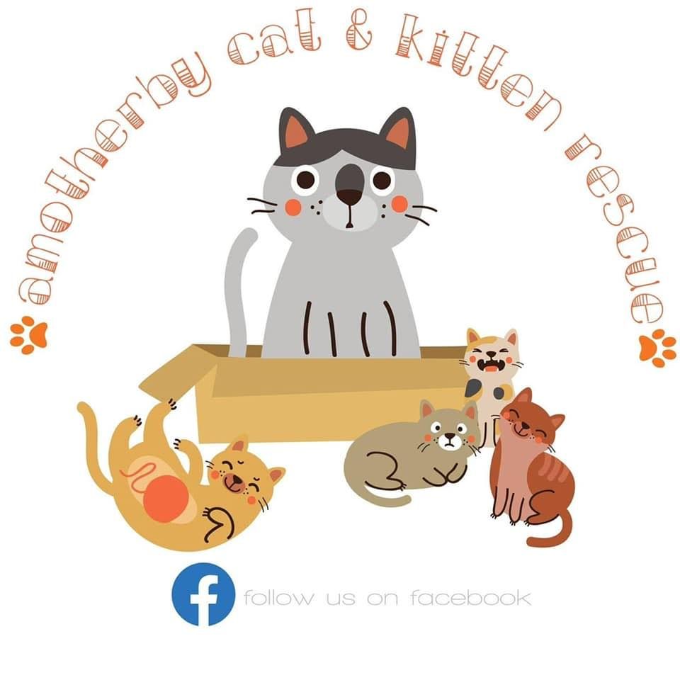 Amotherby Cat and Kitten Rescue