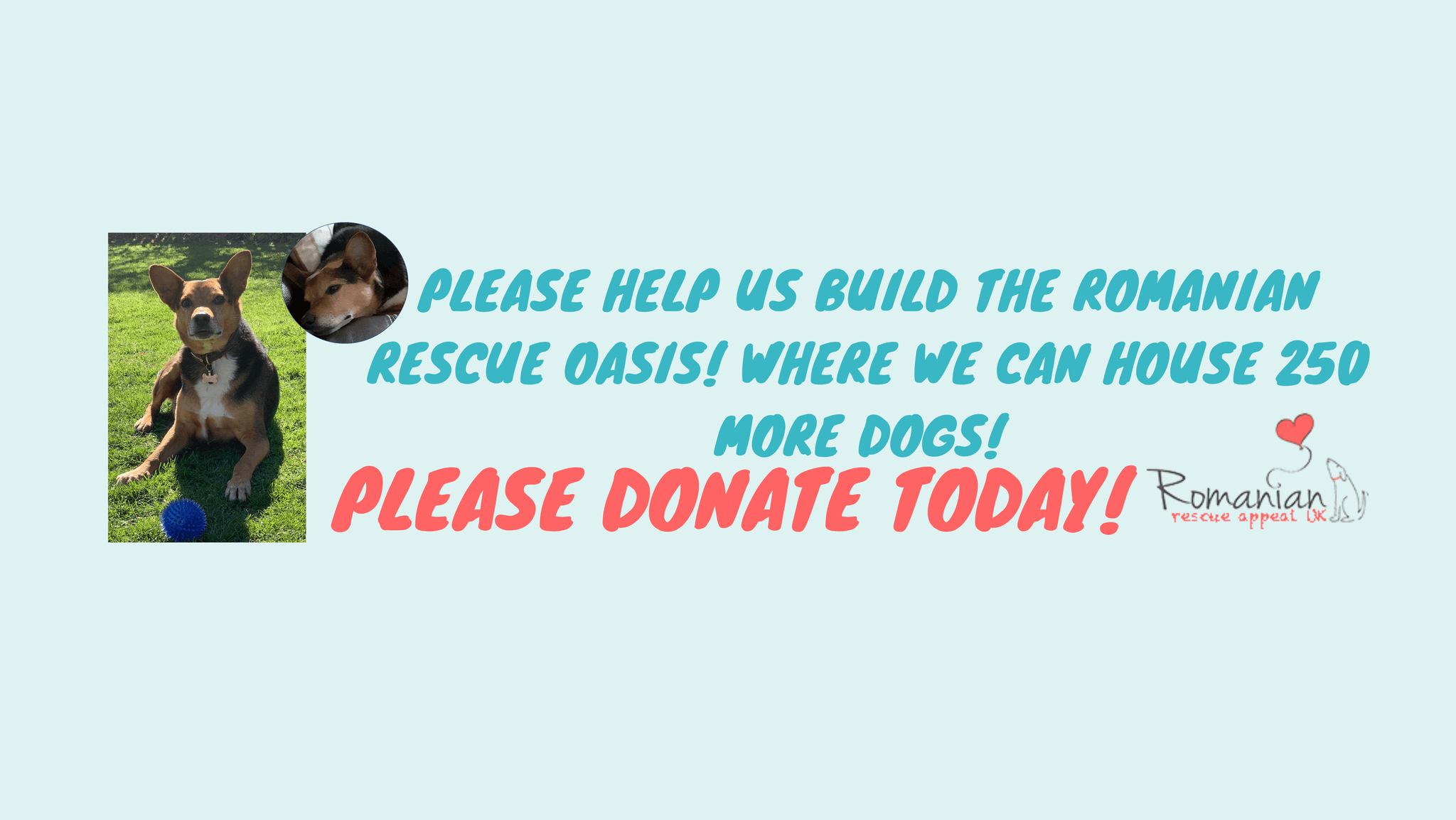 Romanian Rescue Appeal