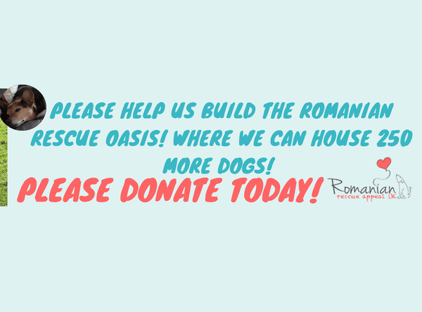 Romanian Rescue Appeal