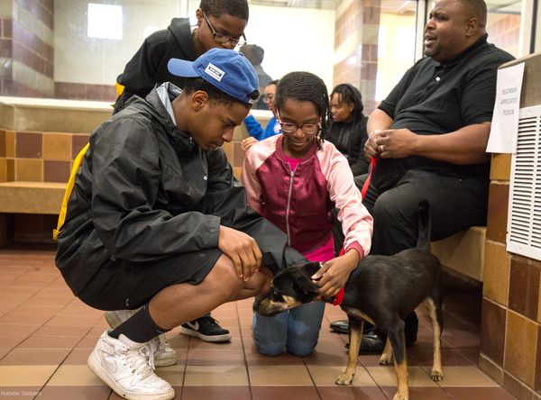 North Shore Animal League