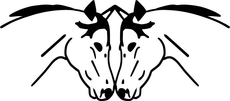 Live and Let Live Farm Rescue and Sanctuary