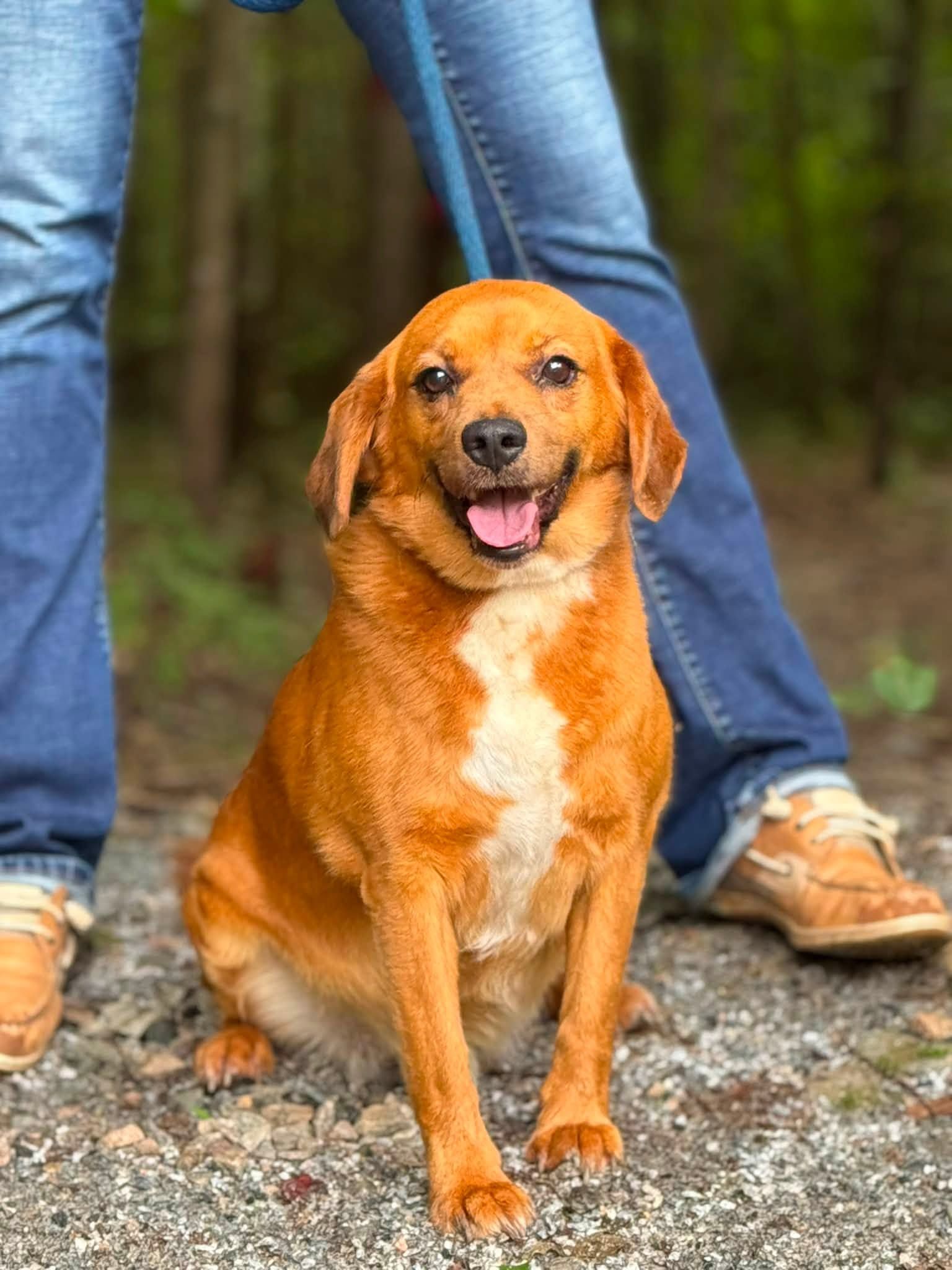 Southside SPCA