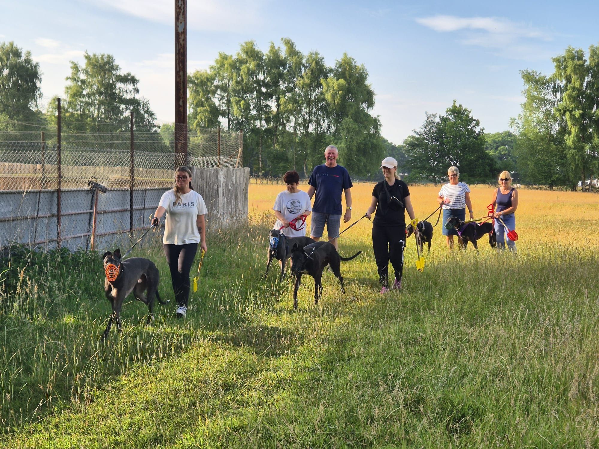 Yarmouth Greyhound Homefinders