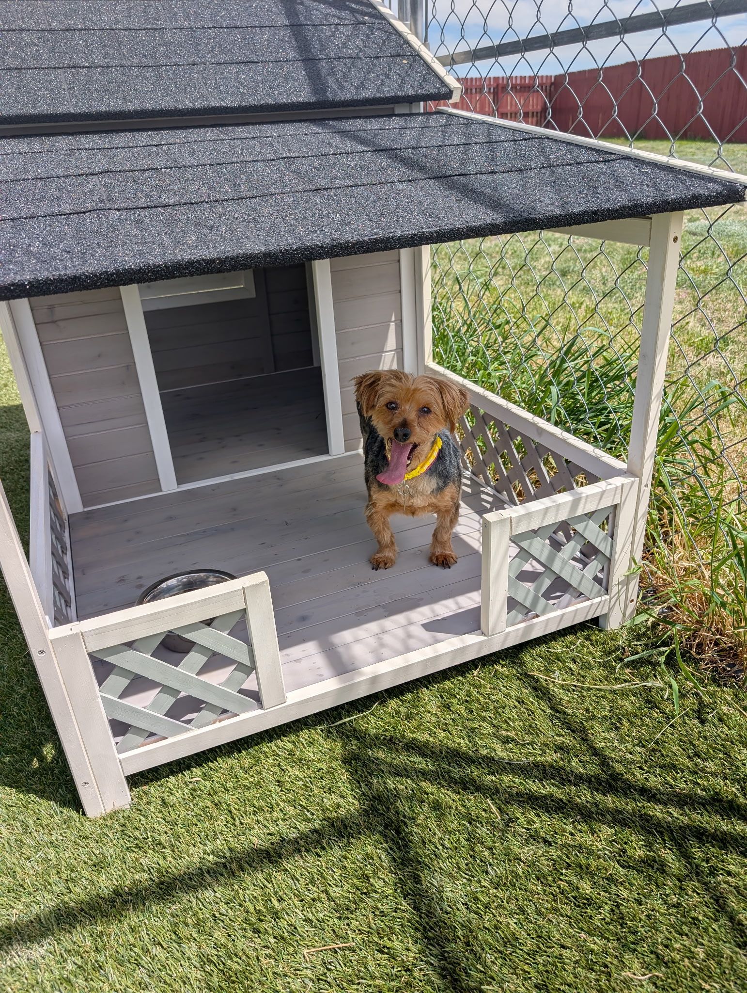 Small Senior Paws Retirement Village