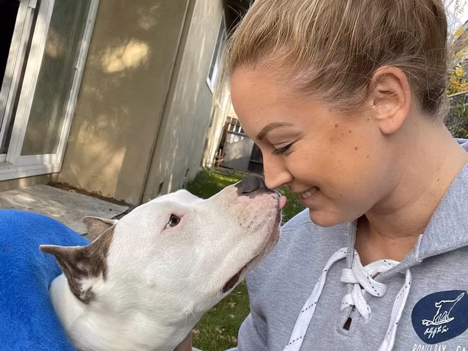 Underdogs Animal Rescue