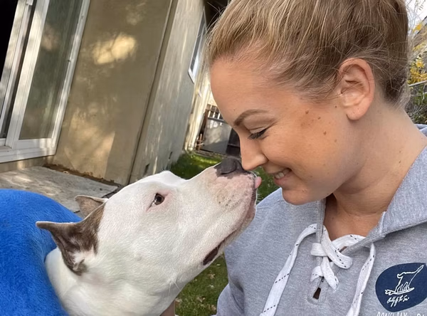 Underdogs Animal Rescue