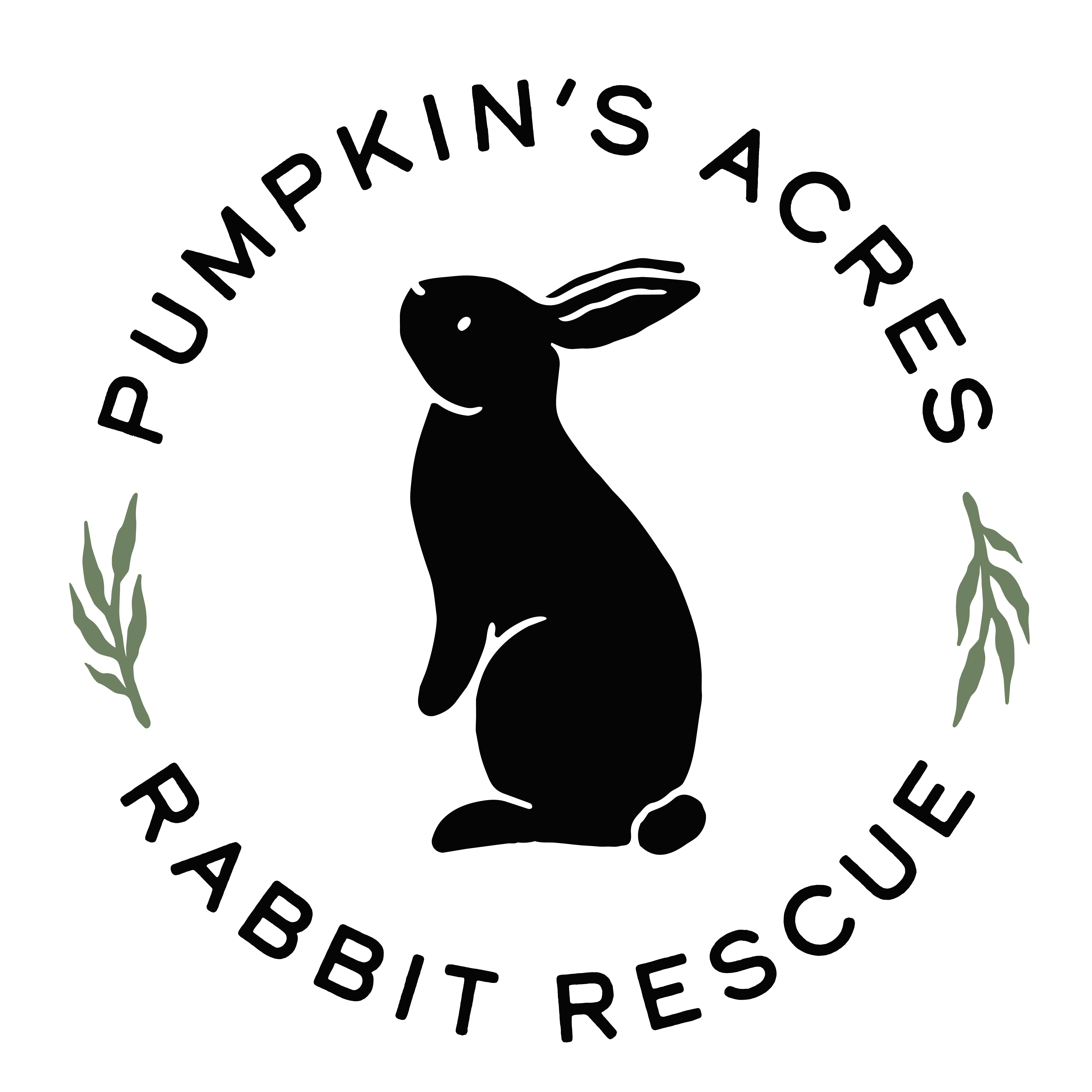 Pumpkin's Acres Rabbit Rescue