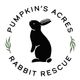 Pumpkin's Acres Rabbit Rescue