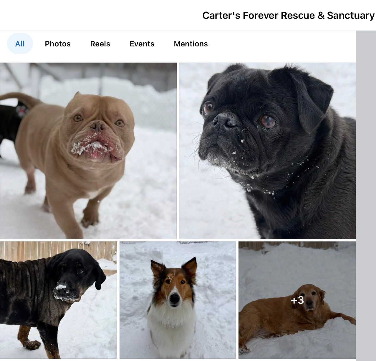 Carter's Forever Rescue & Sanctuary