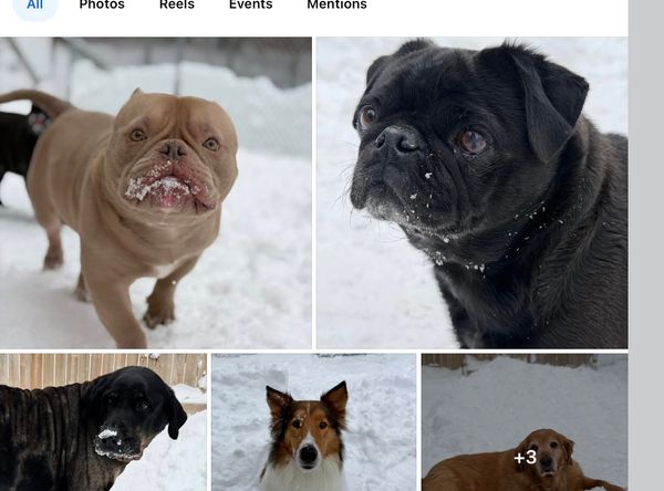 Carter's Forever Rescue & Sanctuary