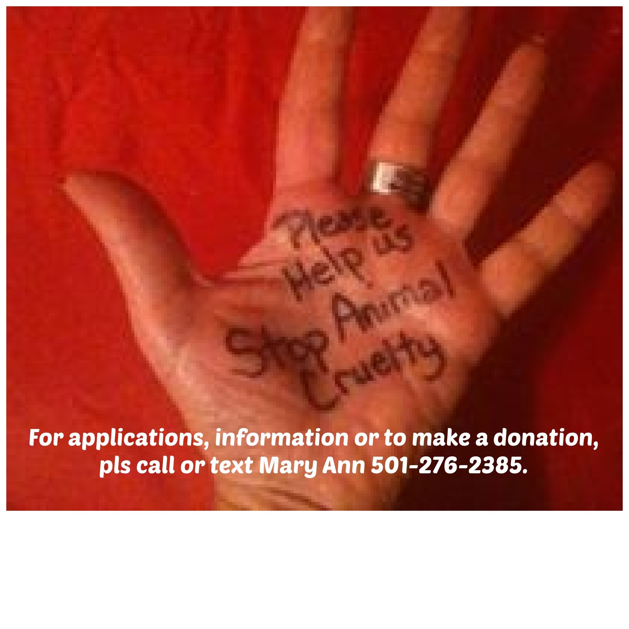 Stop Animial Cruelty of Hot Springs and Garland County Arkansas