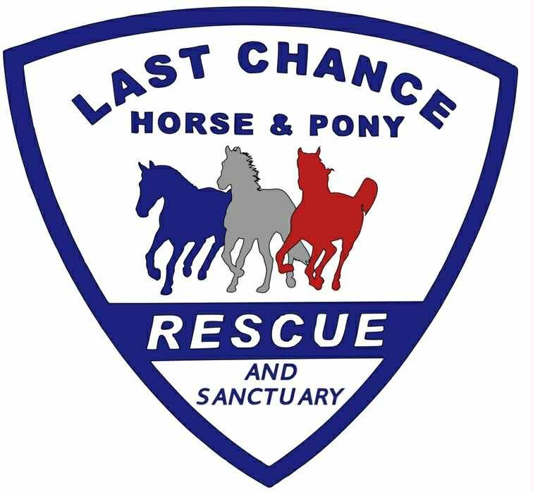 Last Chance Horse and Pony Rescue