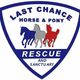 Last Chance Horse and Pony Rescue