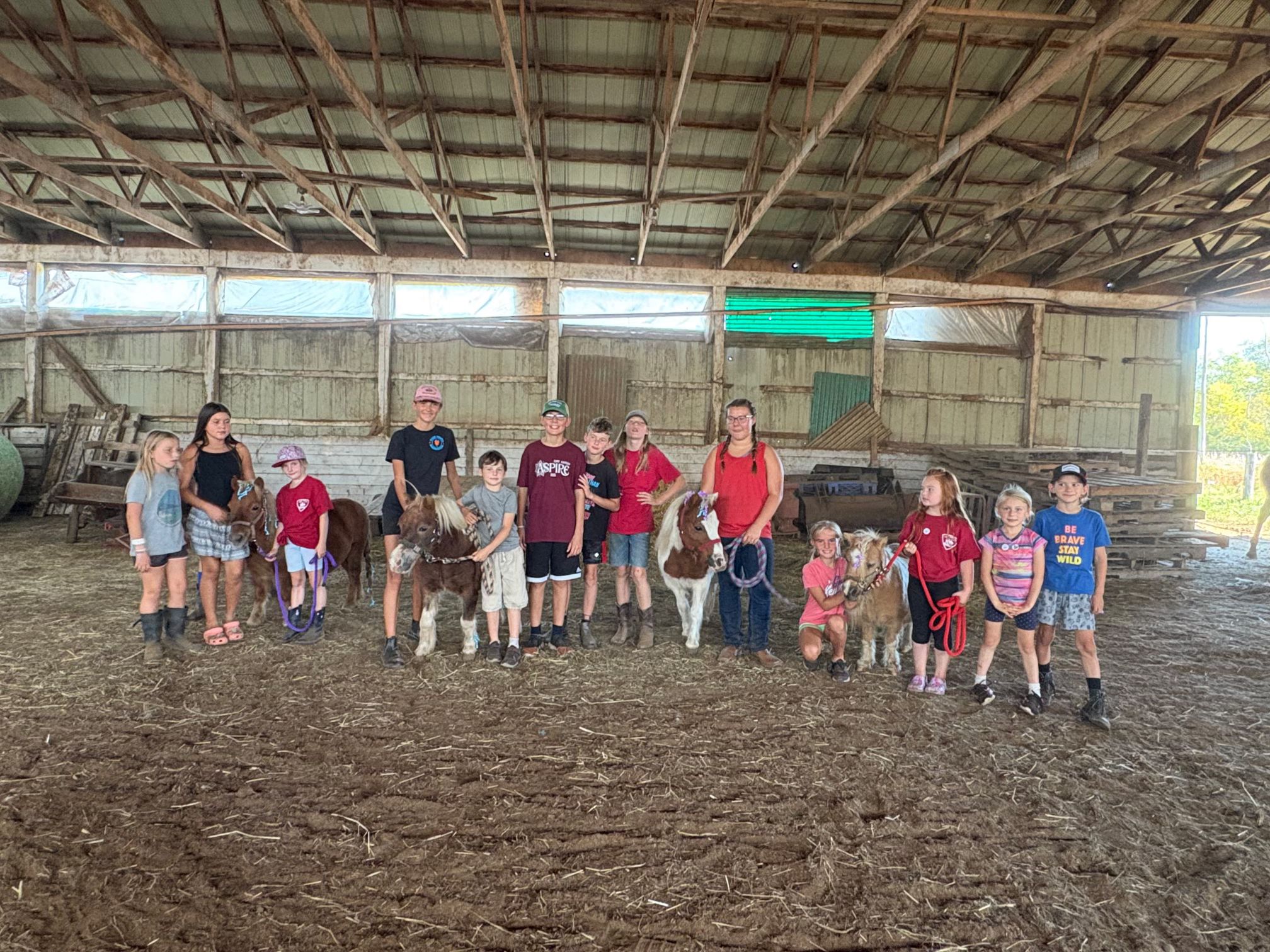 Last Chance Horse and Pony Rescue