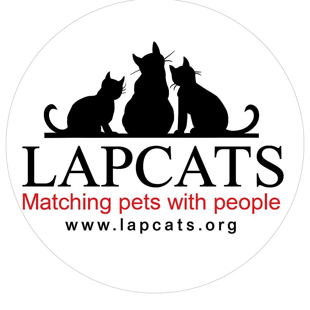 Lapcats Inc