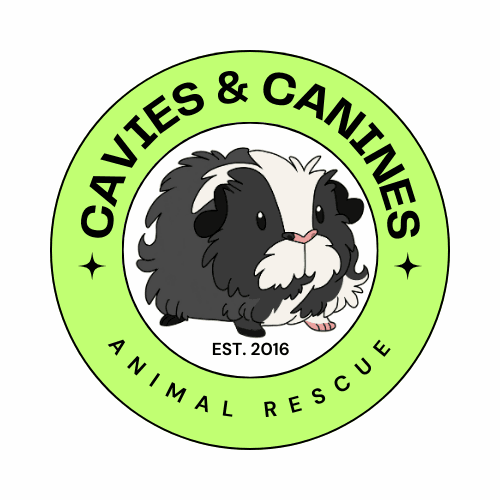 Cavies and Canines Animal Rescue