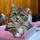 For the Love of a Paw