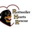 Rottweiler Hearts Rescue