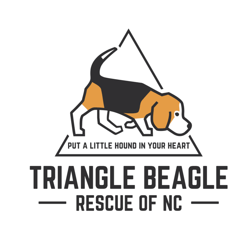 Triangle Beagle Rescue of North Carolina