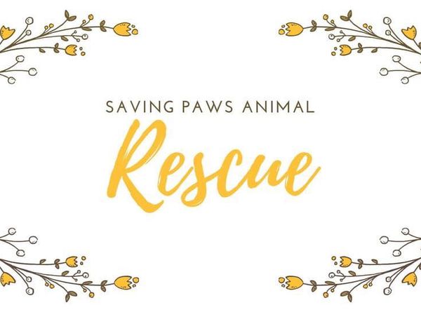 Saving Paws Animal Rescue