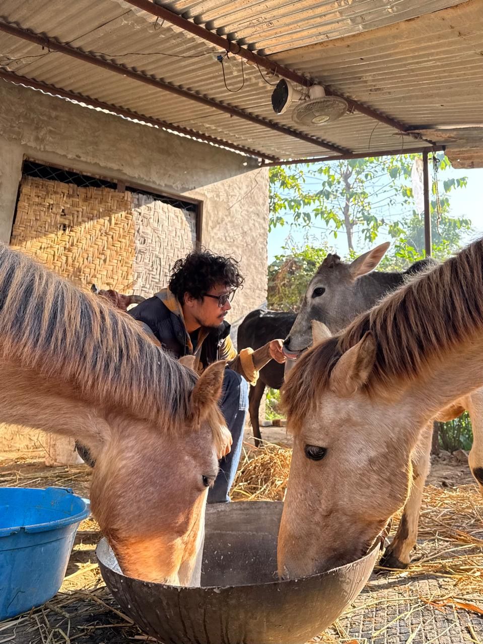 Soltis’ Hope Street Animal Rescue