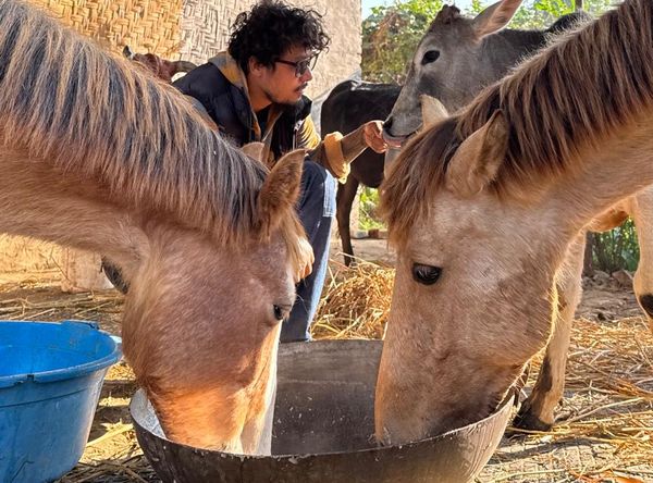 Soltis’ Hope Street Animal Rescue