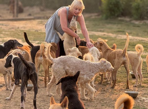 Soltis’ Hope Street Animal Rescue