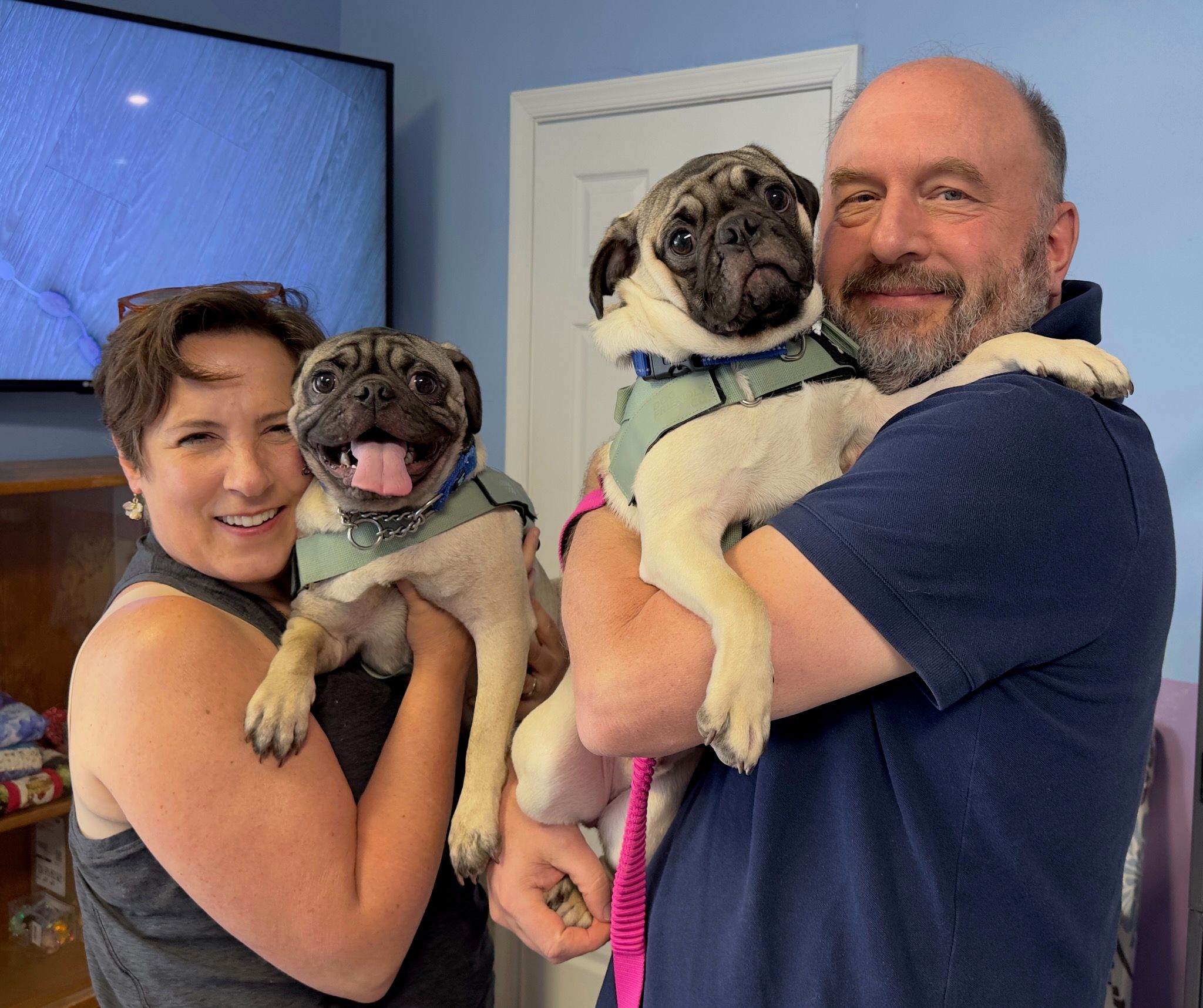 Advocates For Abused And Abandoned Pets