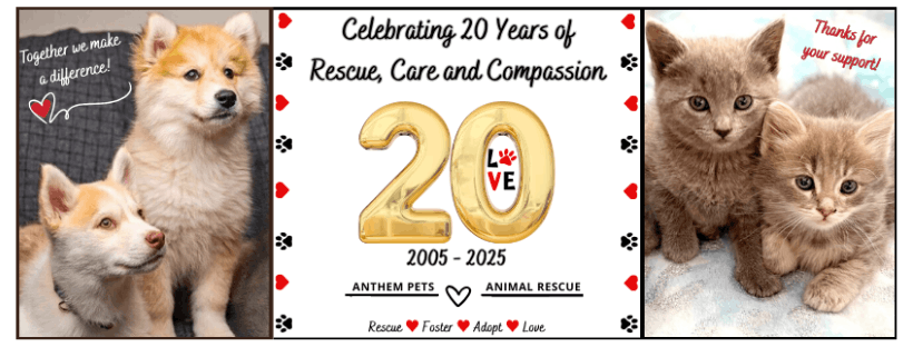 Anthem Pets Animal Rescue