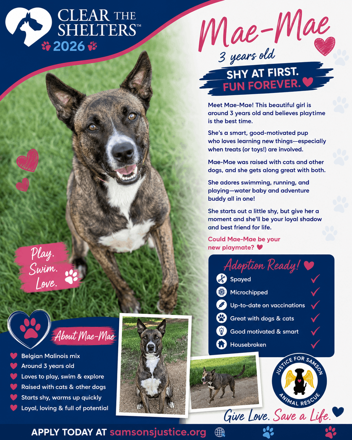 Justice for Samson Animal Rescue