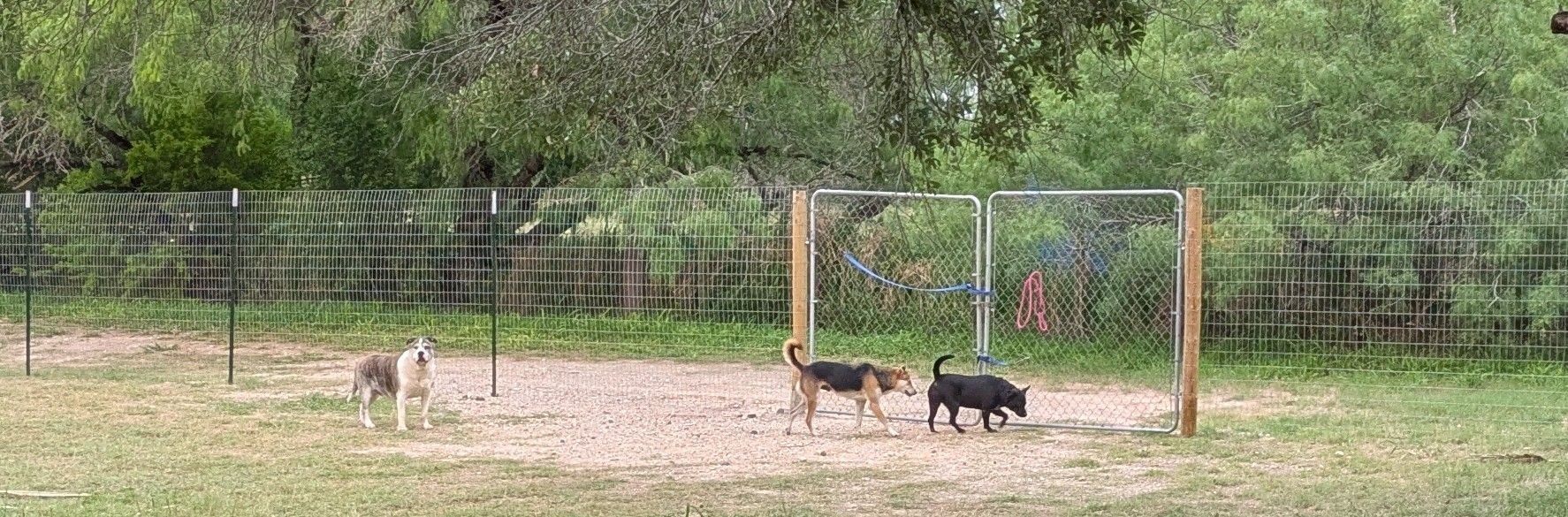 Justice for Samson Animal Rescue