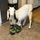 Old McDarling’s Farm Rescue and Sanctuary