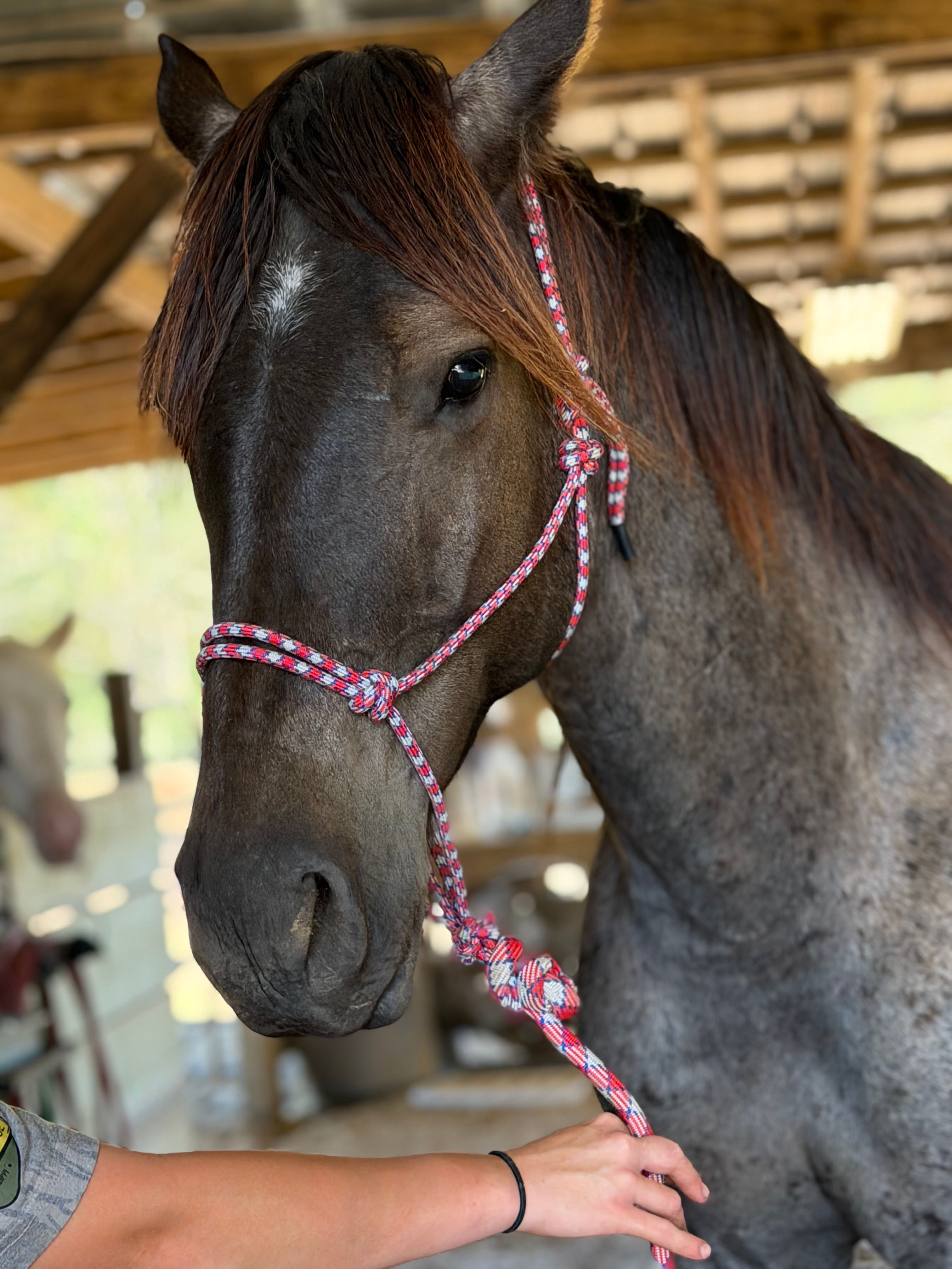Rocking R Ranch and Rescue Inc