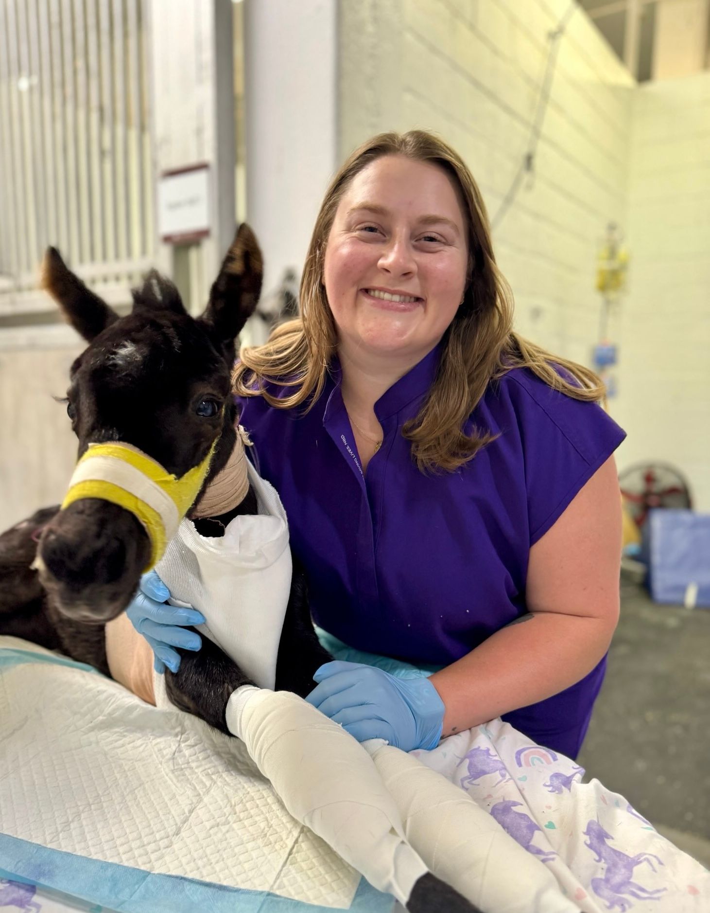 Rocking R Ranch and Rescue Inc