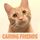 Caring Friends Cat Rescue