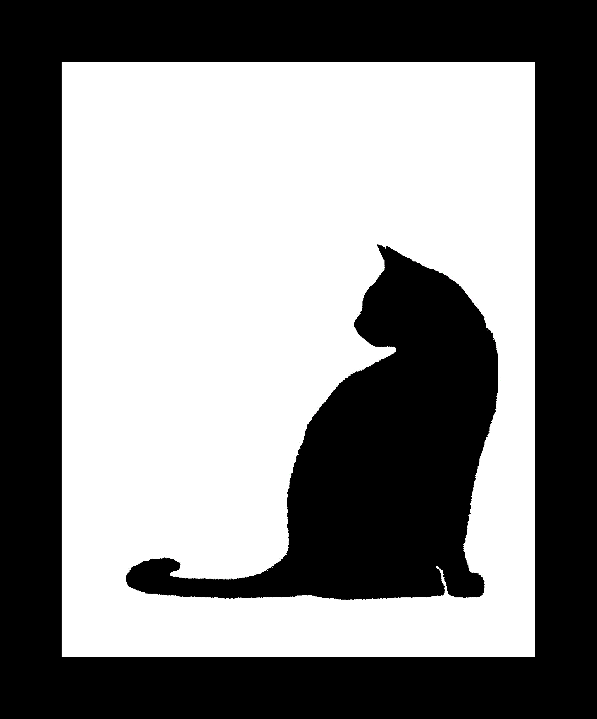 Beyond Nine Cat Rescue Inc.