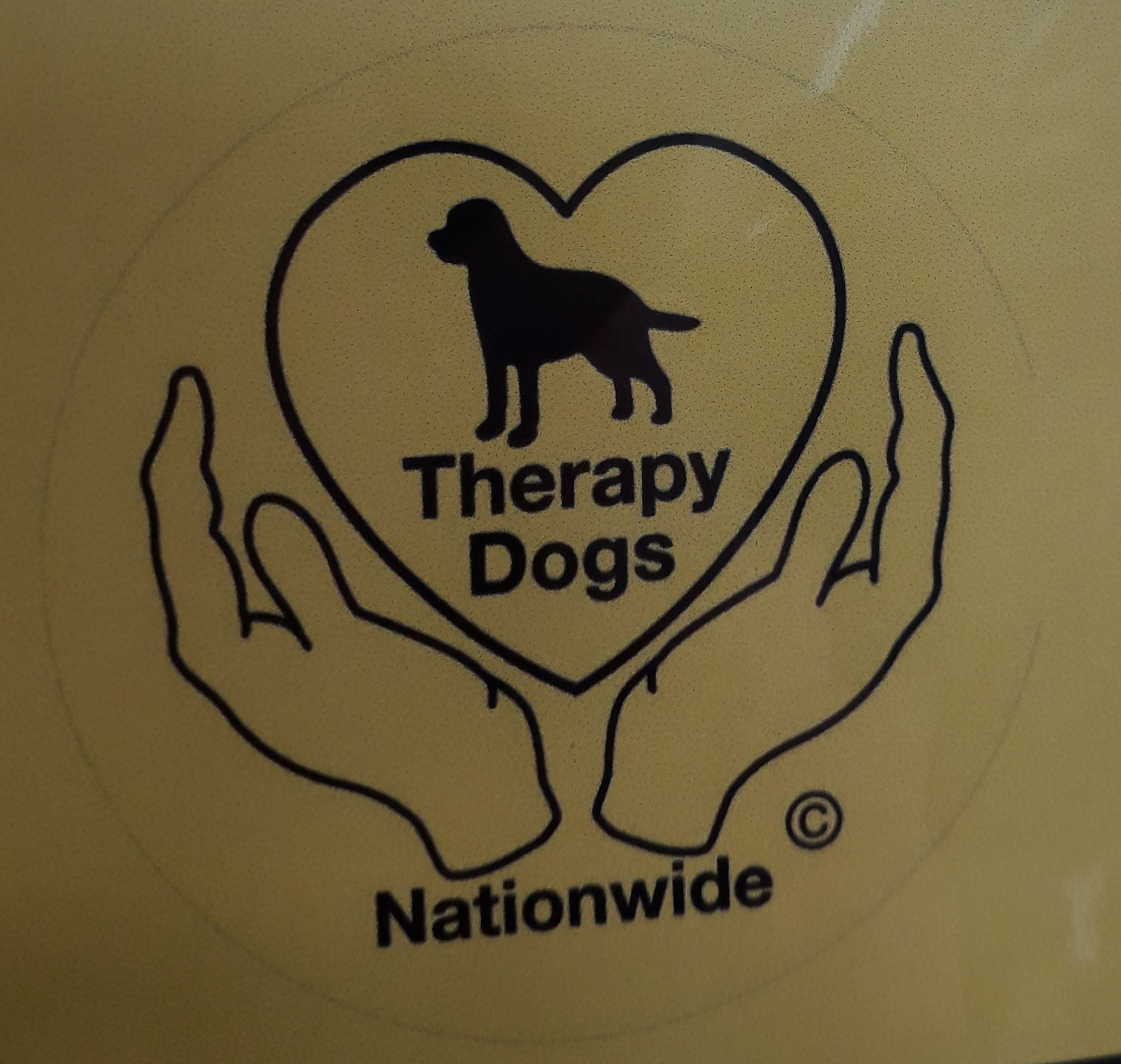 Therapy Dogs Nationwide