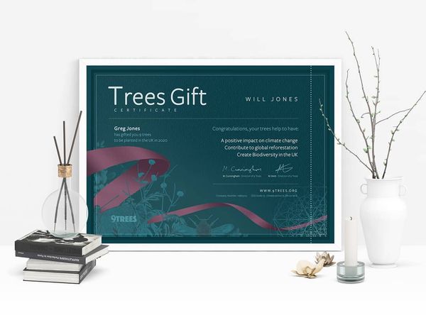 9Trees Nature Based Solutions CIC