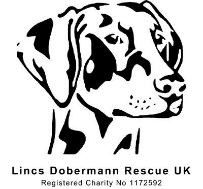 Lincs Dobermann Rescue UK Charity 1172592