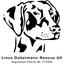 Lincs Dobermann Rescue UK Charity 1172592