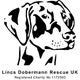 Lincs Dobermann Rescue UK Charity 1172592