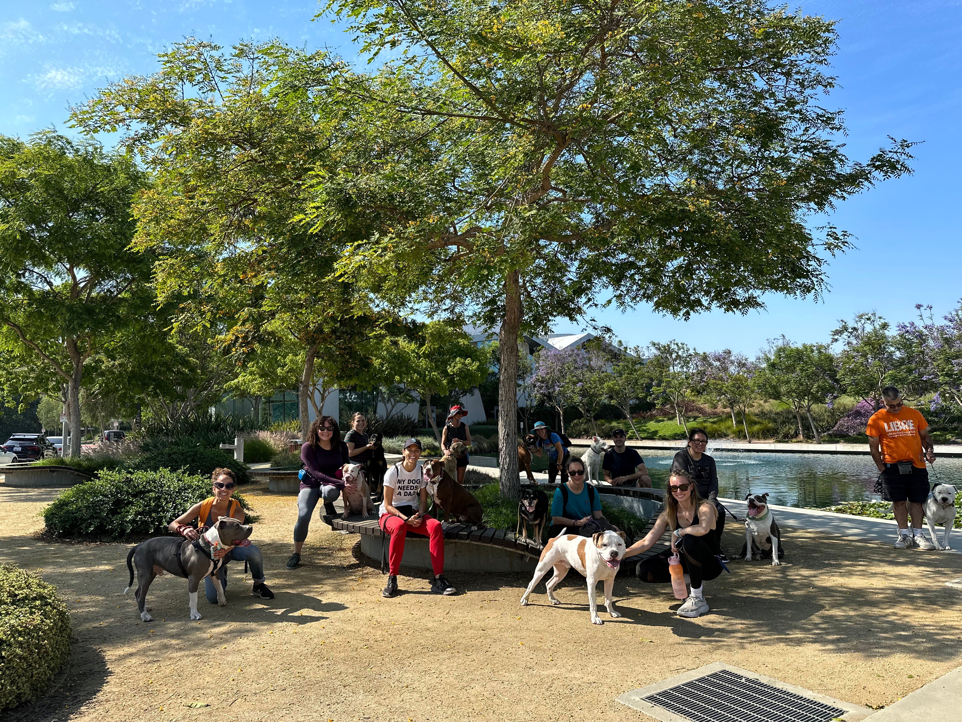 LARPBO Los Angeles Responsible Pit Bull Owners