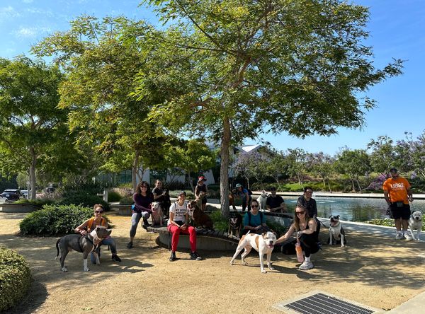 LARPBO Los Angeles Responsible Pit Bull Owners