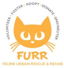Feline Urban Rescue and Rehab