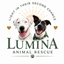 Lumina Animal Rescue