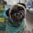 Guardian Angels Pug Rescue